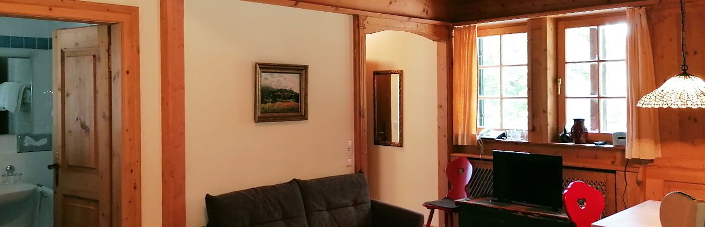 Berghotel Sudelfeld Bayrischzell Zimmerkategorie Appartement hier Blick auf den Wohn-Schlafraum mit Esstisch aus Holz, Stuehle Schlafcouch TV auf einer Truhe und dem Zugang zum Badezimmer  
